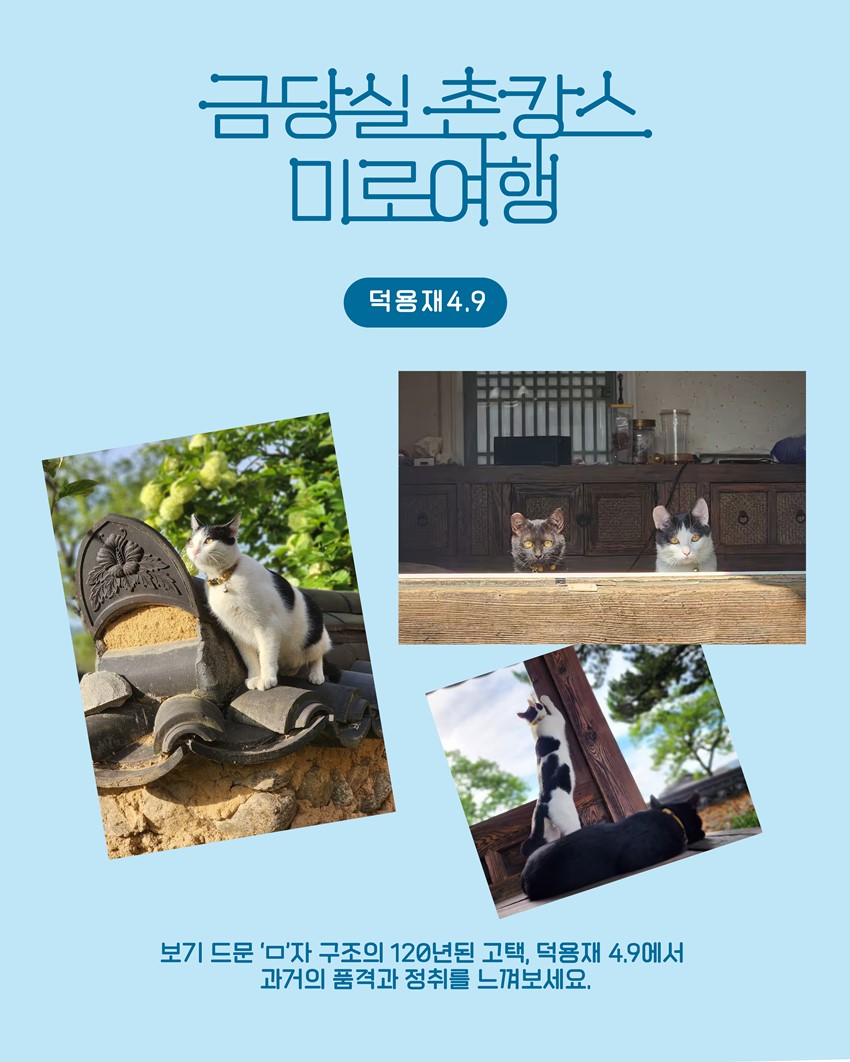 4.금당실촌캉스 미로여행 1박 2일